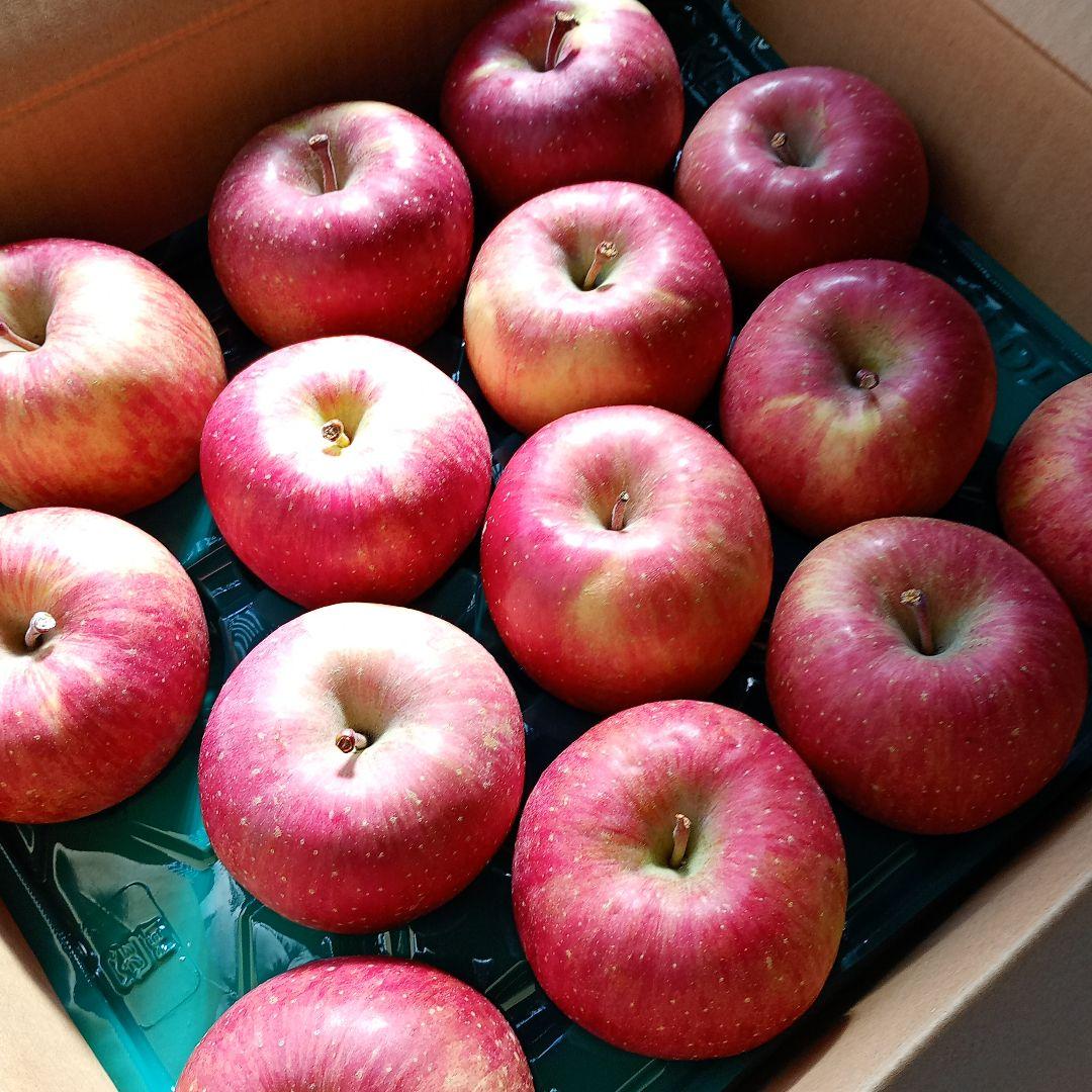 青森　葉取らずサンふじ　10キロ箱　赤特秀