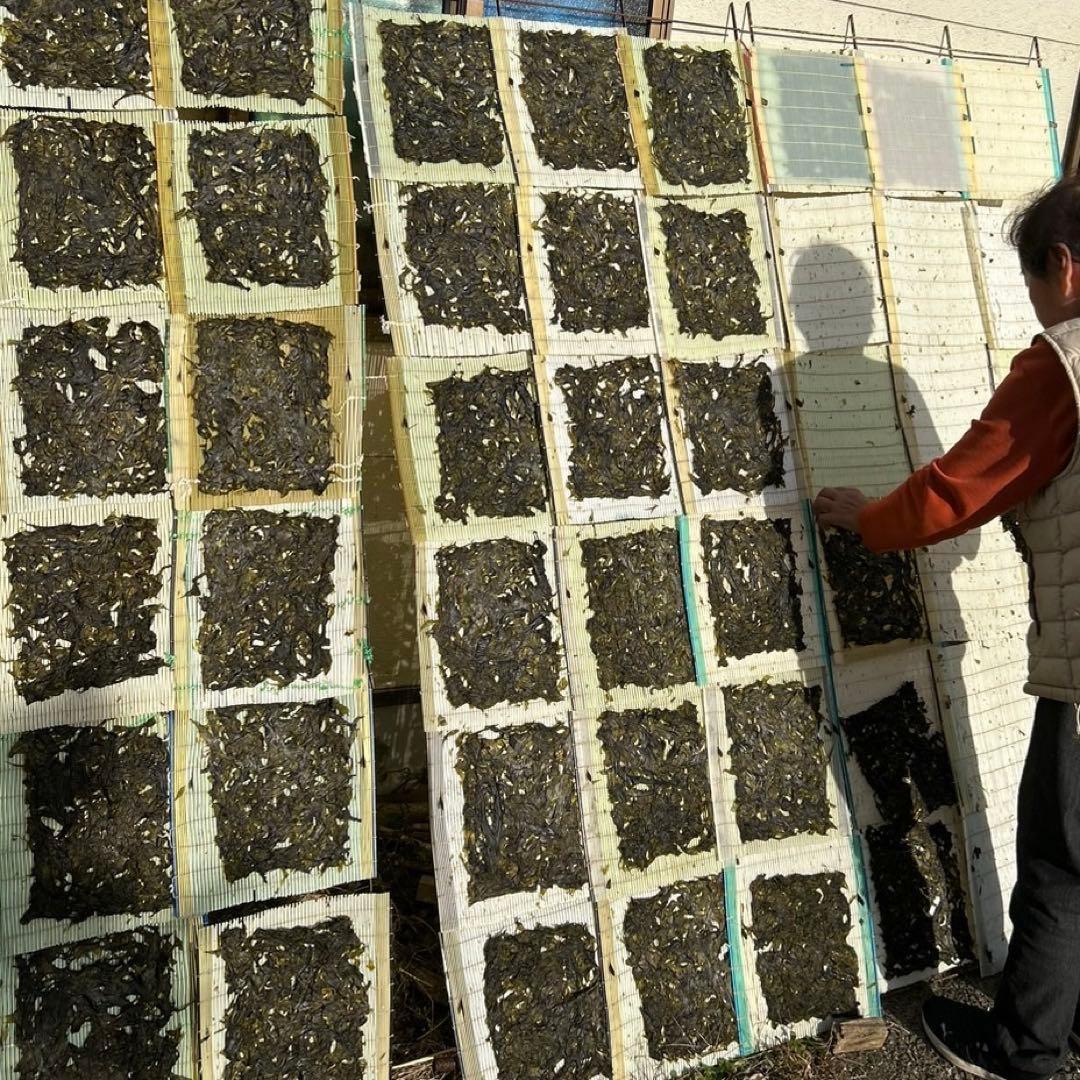 専用出品《2025年新物ハバノリ》10枚入り