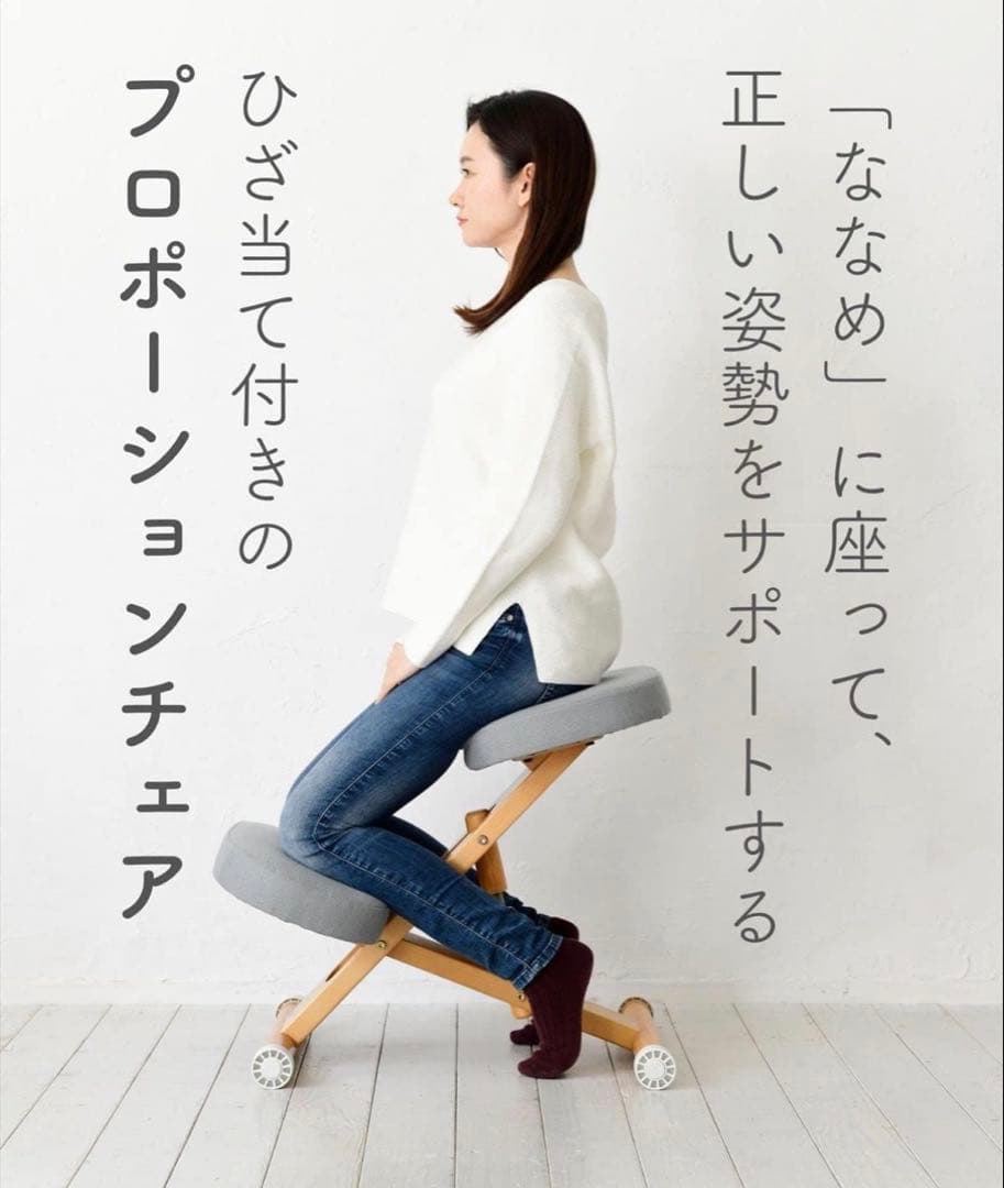 【極美品】宮武製作所 プロポーションチェア｜補助クッション・専用カバー・工具付