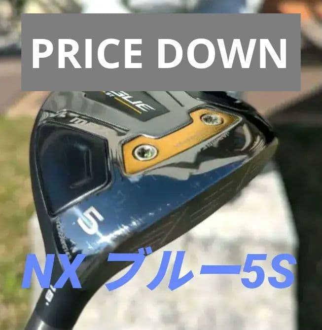 ローグ st MAX 5W NXブルー5S
