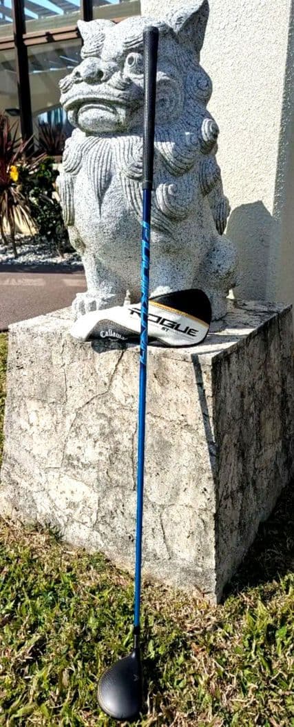 ローグ st MAX 5W NXブルー5S