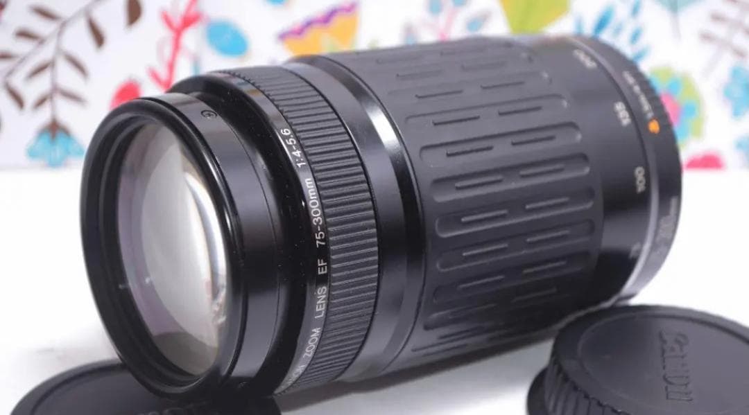 ❤️新品級❤️300mm超望遠レンズ❤️ CANON EF 75-300mm