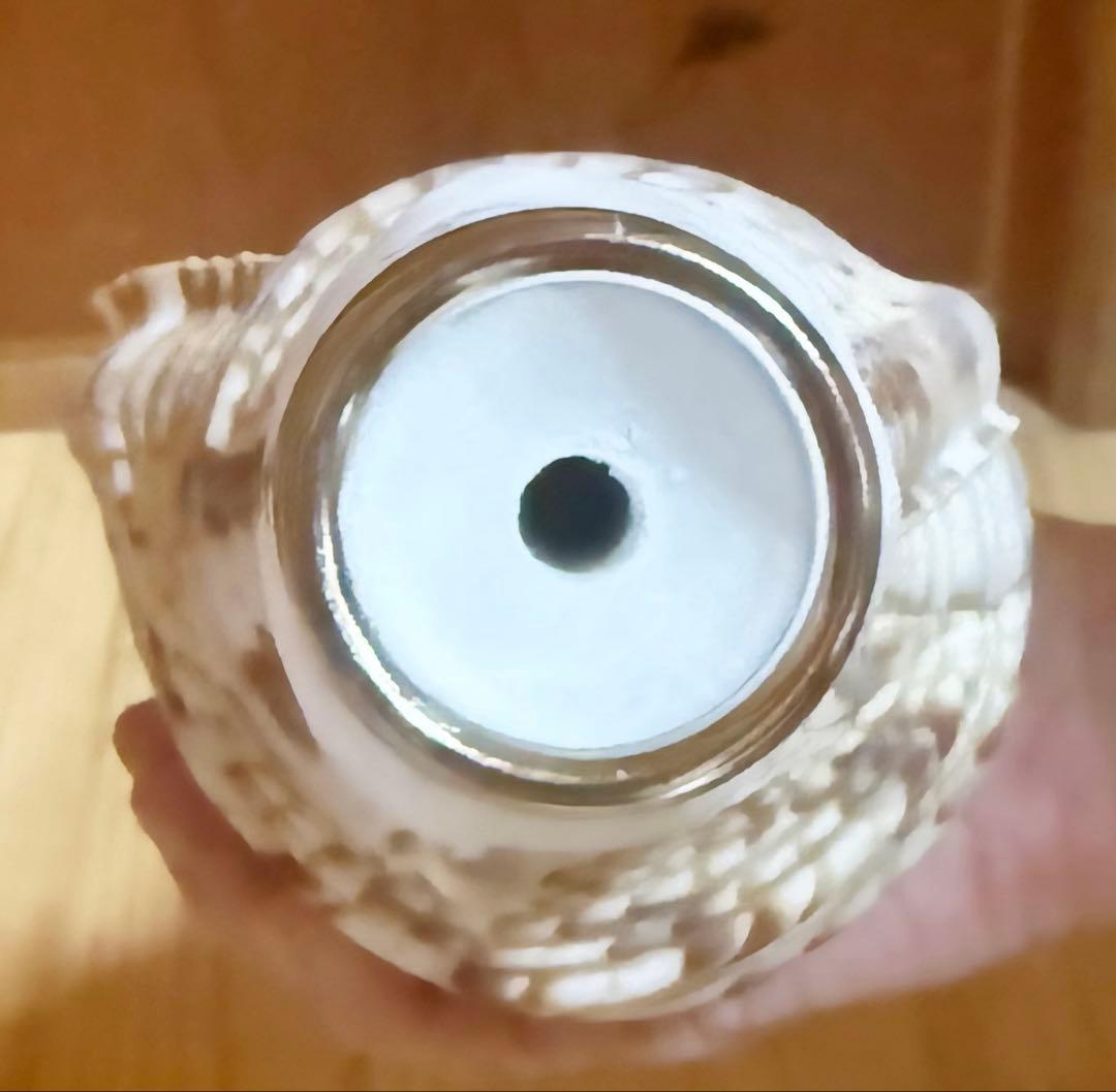 コンパクト修験道法螺貝　山伏　密教　熊よけ　魔除け❣️ほら貝　ホラガイ