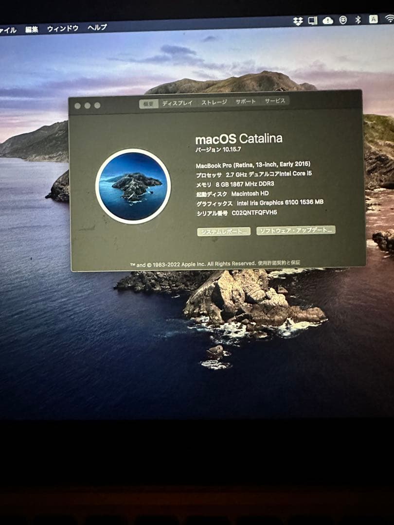 p*u様 MacBook Pro (Retina,13-inch, Early)