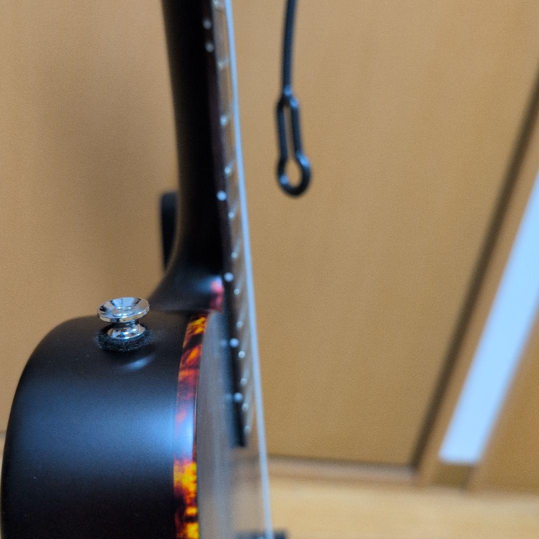 SCHECTER シェクター エレアコ