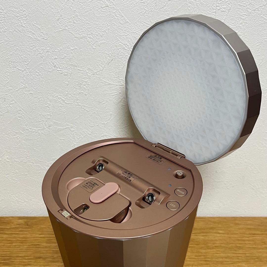 YA-MAN ヤーマン フォトスチーマー IS-100 美顔器