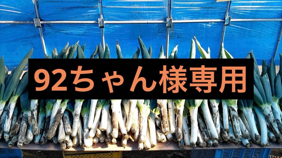 下仁田ネギ　4キロ✖︎３