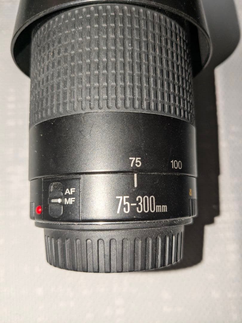 EOS 6D Mark II ＋おまけ