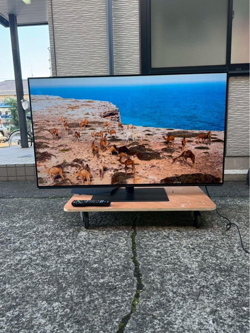 Panasonic/有機ELテレビ/TV/55V2019年　TH-55FZ950