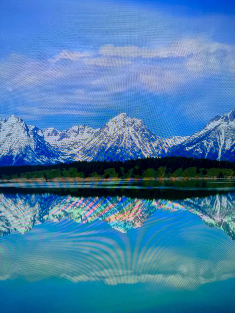 Panasonic/有機ELテレビ/TV/55V2019年　TH-55FZ950