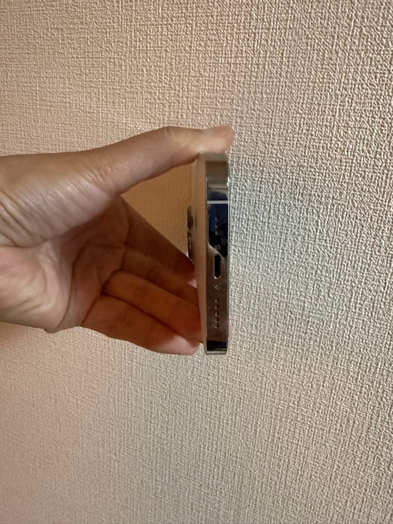 月末まで値引きiPhone 13pro 256GB SIMロックなし　美品