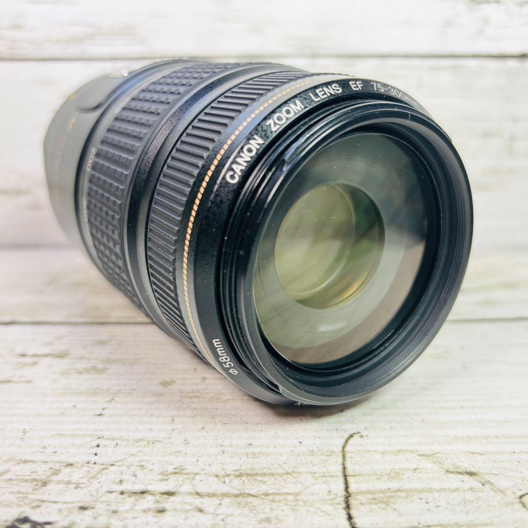 【動作良好】Canon EF 75-300mm F4-5.6 IS USM