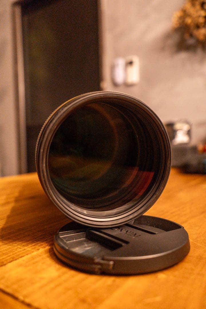 NIKKOR Z 600mm f/6.3 VR S 美品 豪華おまけ付き