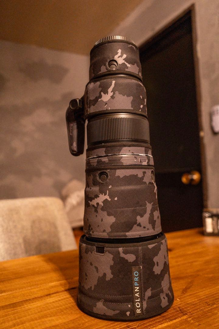 NIKKOR Z 600mm f/6.3 VR S 美品 豪華おまけ付き