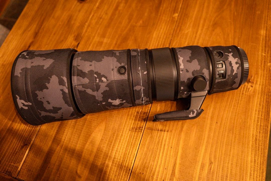 NIKKOR Z 600mm f/6.3 VR S 美品 豪華おまけ付き
