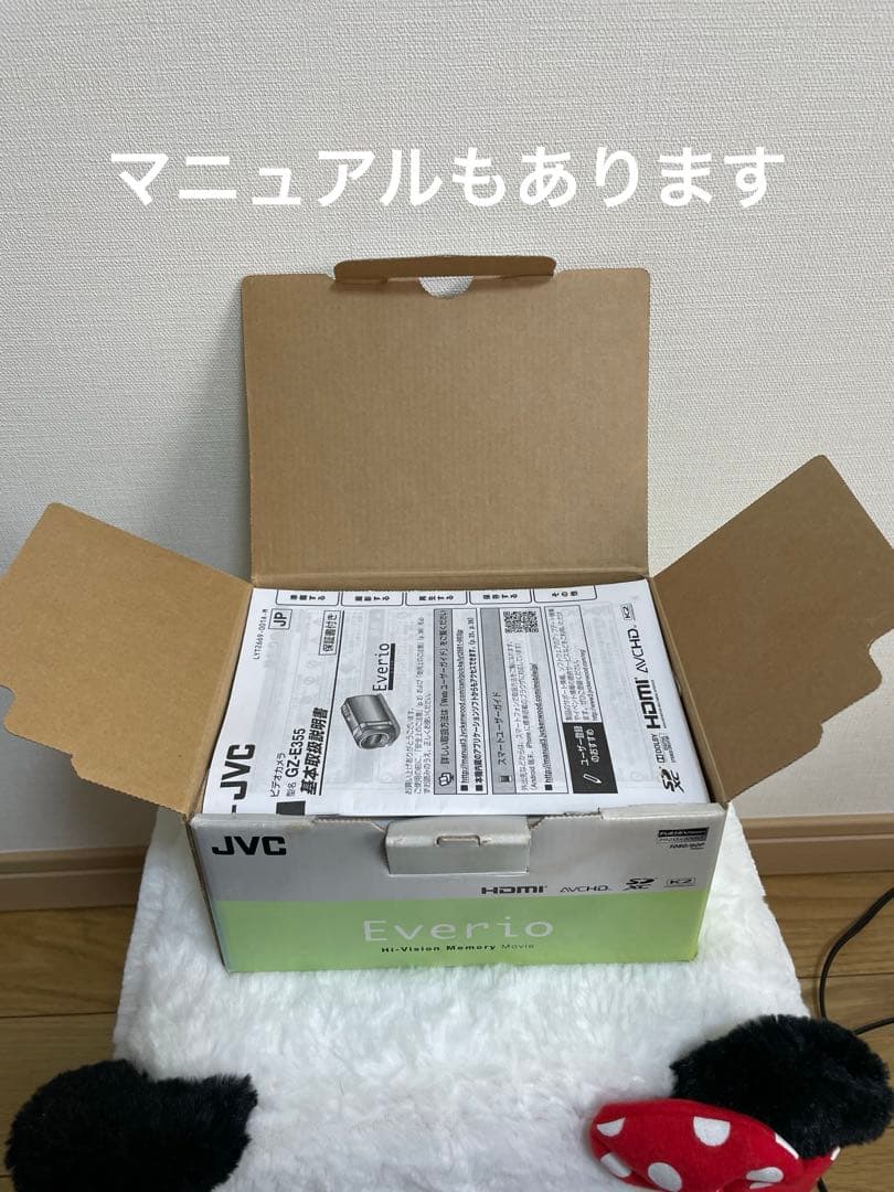 GE-E355-N JVC ハンディカム