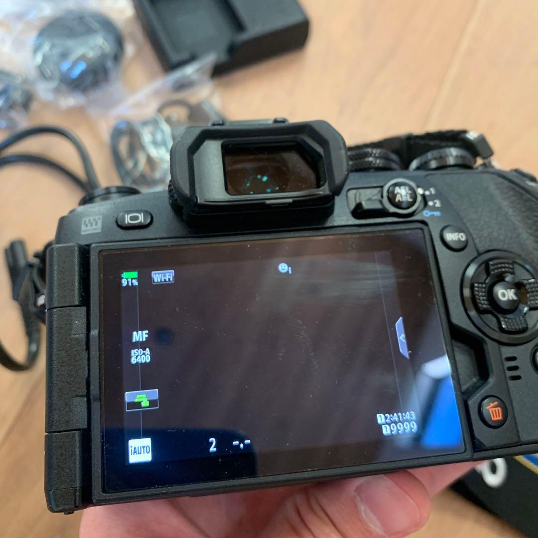 【シャッター数 205】OLYMPUS OM-D E-M1 Mark II