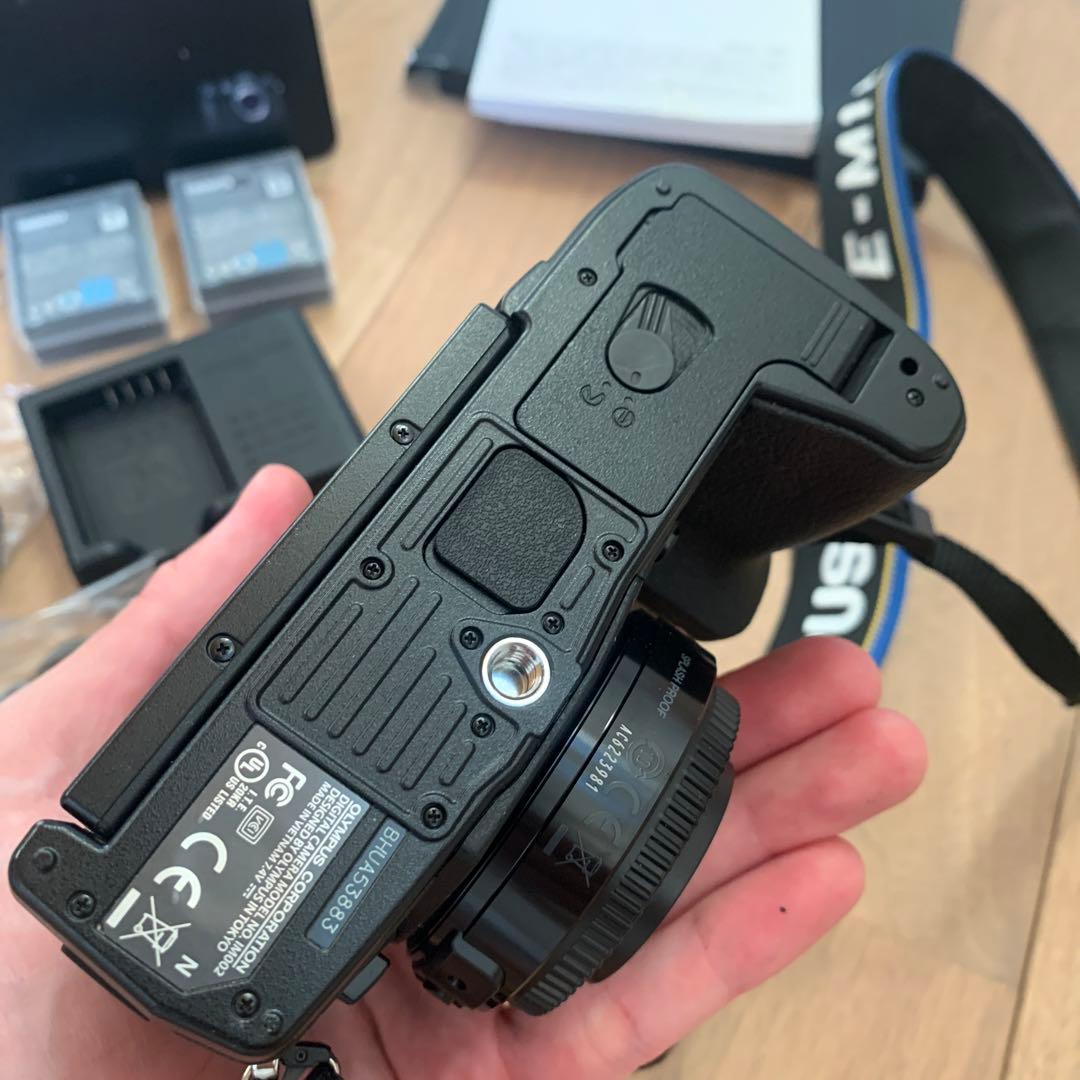 【シャッター数 205】OLYMPUS OM-D E-M1 Mark II