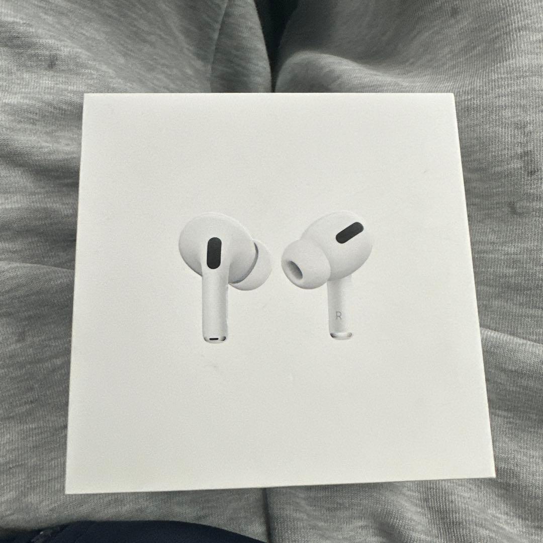 Apple AirPods Pro MagSafe本体