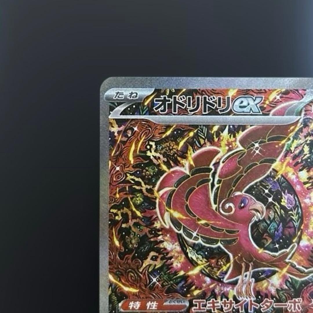 オドリドリex sar 3枚