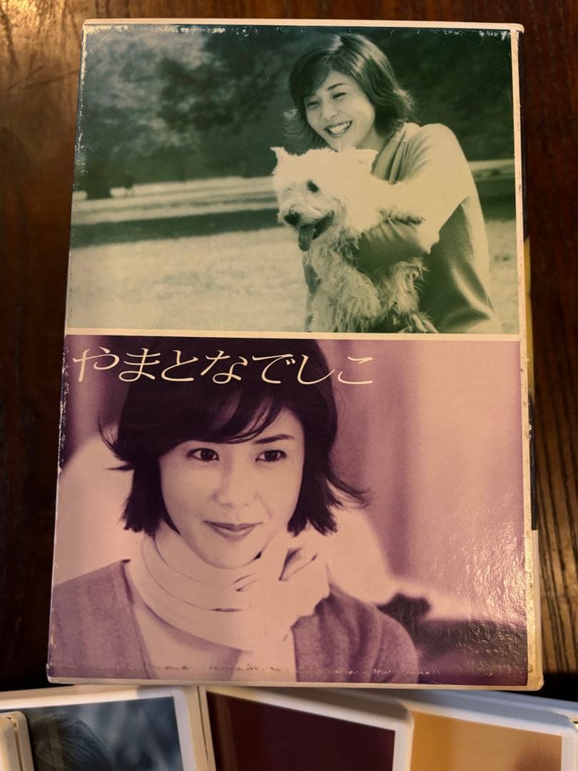 やまとなでしこ　DVD6枚セット中古品