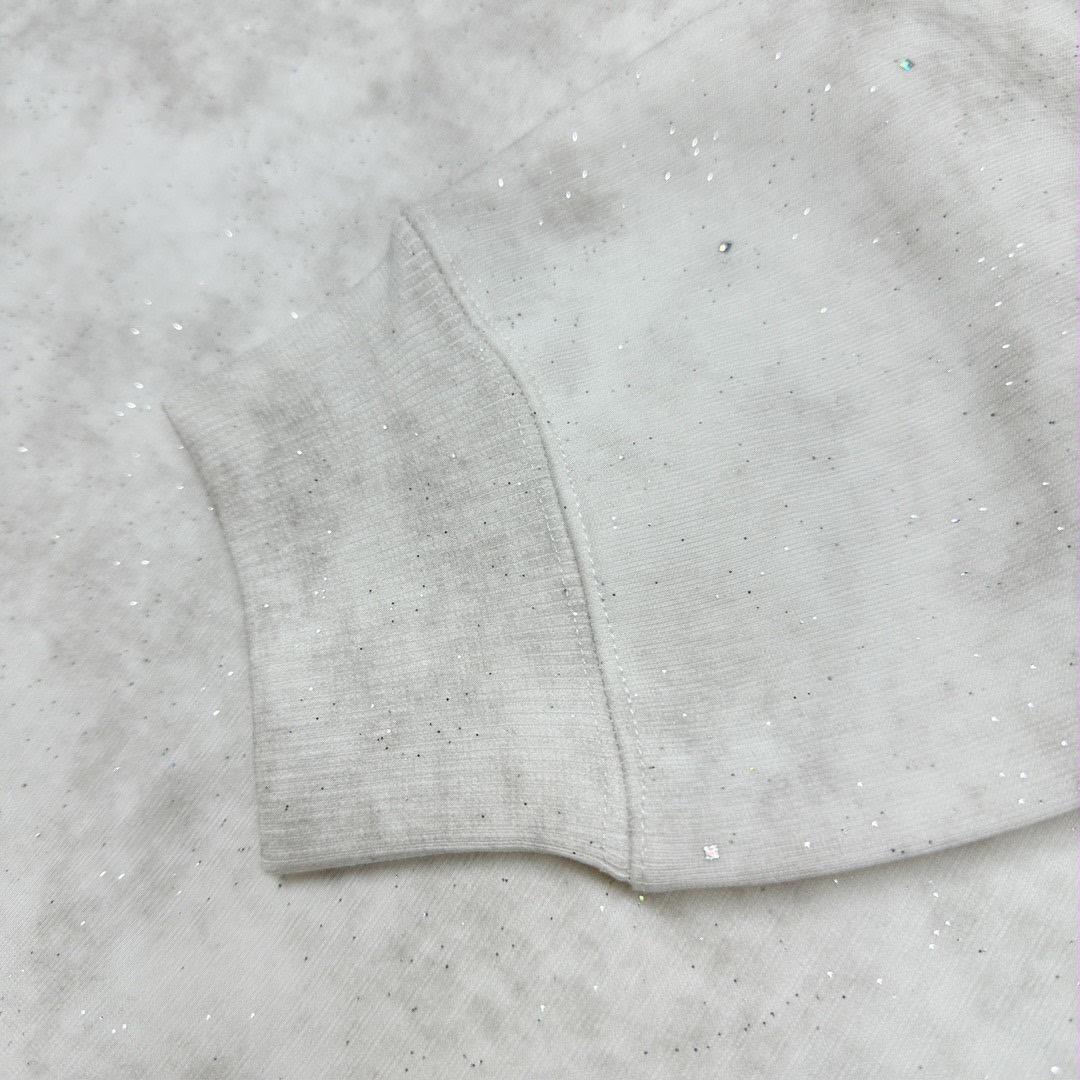 Alexander Wang 満天星 フード付きスウェット Sサイズ