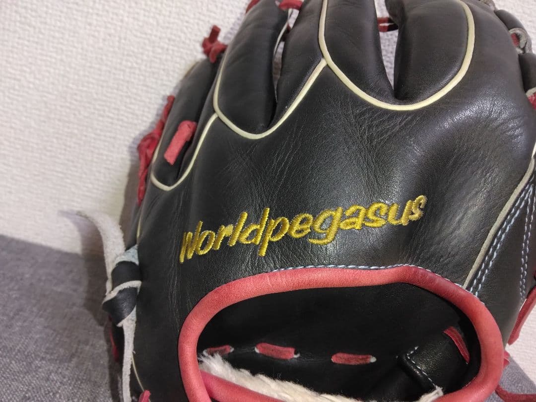 ワールドペガサス硬式・軟式兼用　投手・内野手