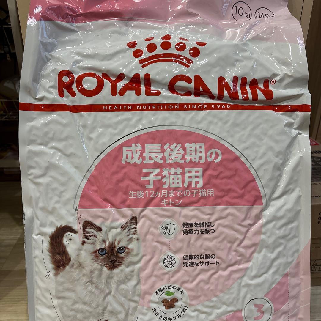  CANIN 子猫用 ドライフード 10kg