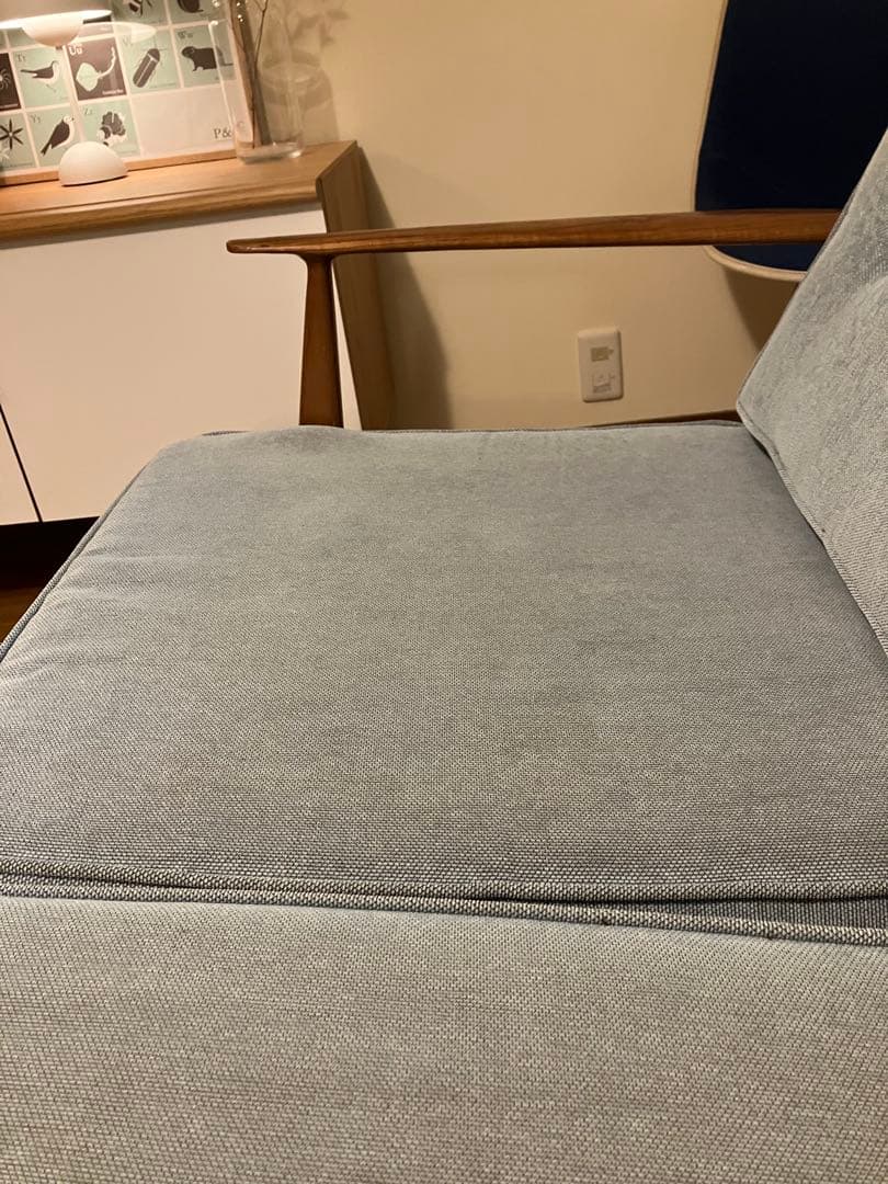 アクメファニチャー ソファDELMAR SOFA