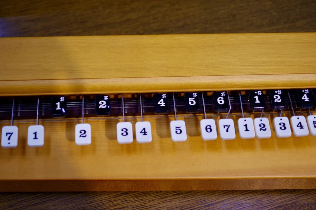 スズキ 高級電気大正琴「弁慶」（極上美品）