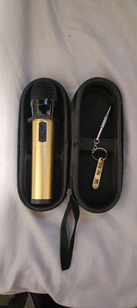 そ*様 PENTATONIC GTM-300 シャンパンゴールド マイクとケース