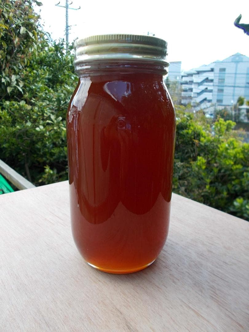 ★日本蜜蜂・非加熱・生ハチミツ・はちみつ・1Ｋ★