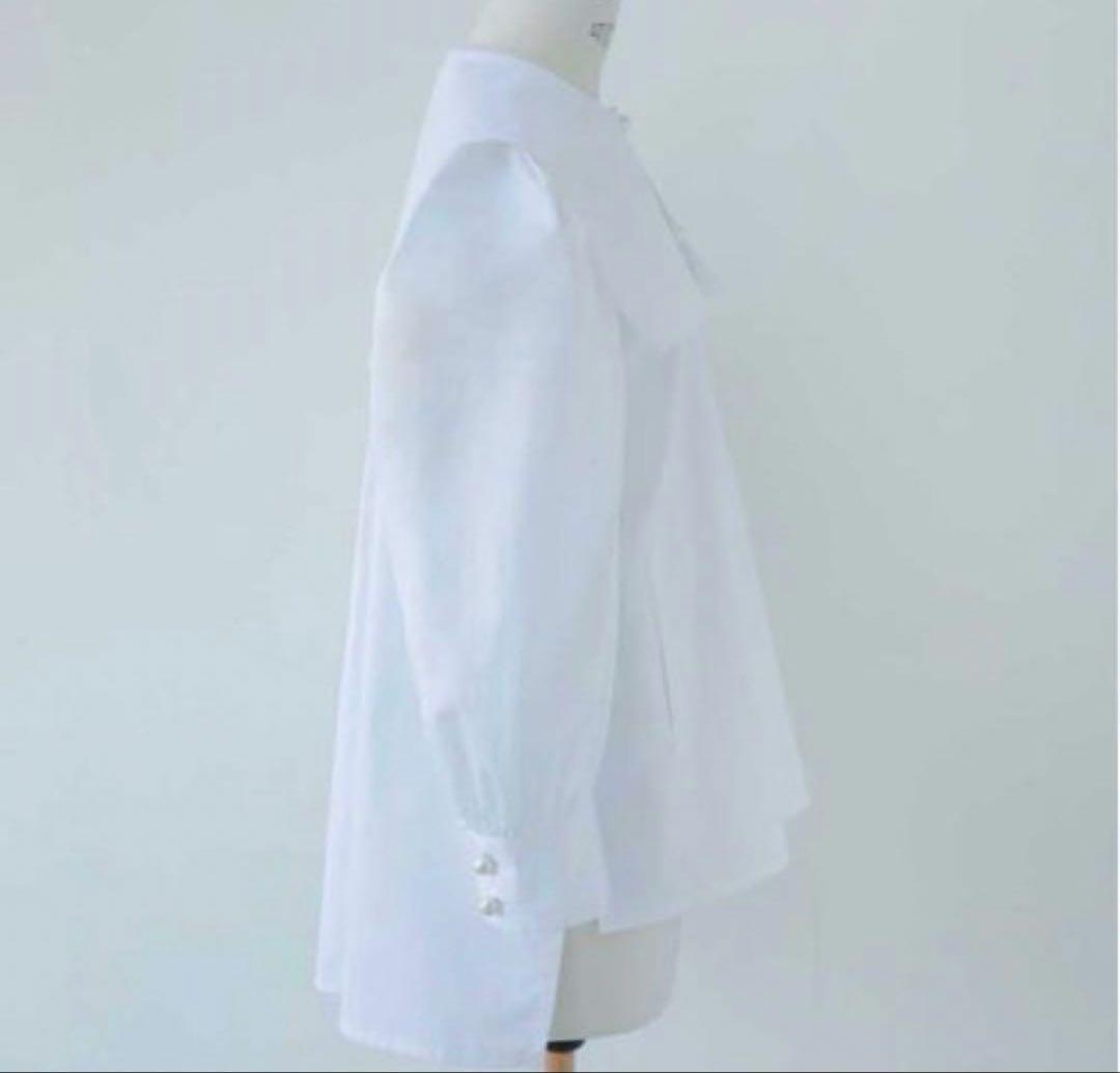 セツコサジテール　マルグリット　ホワイト