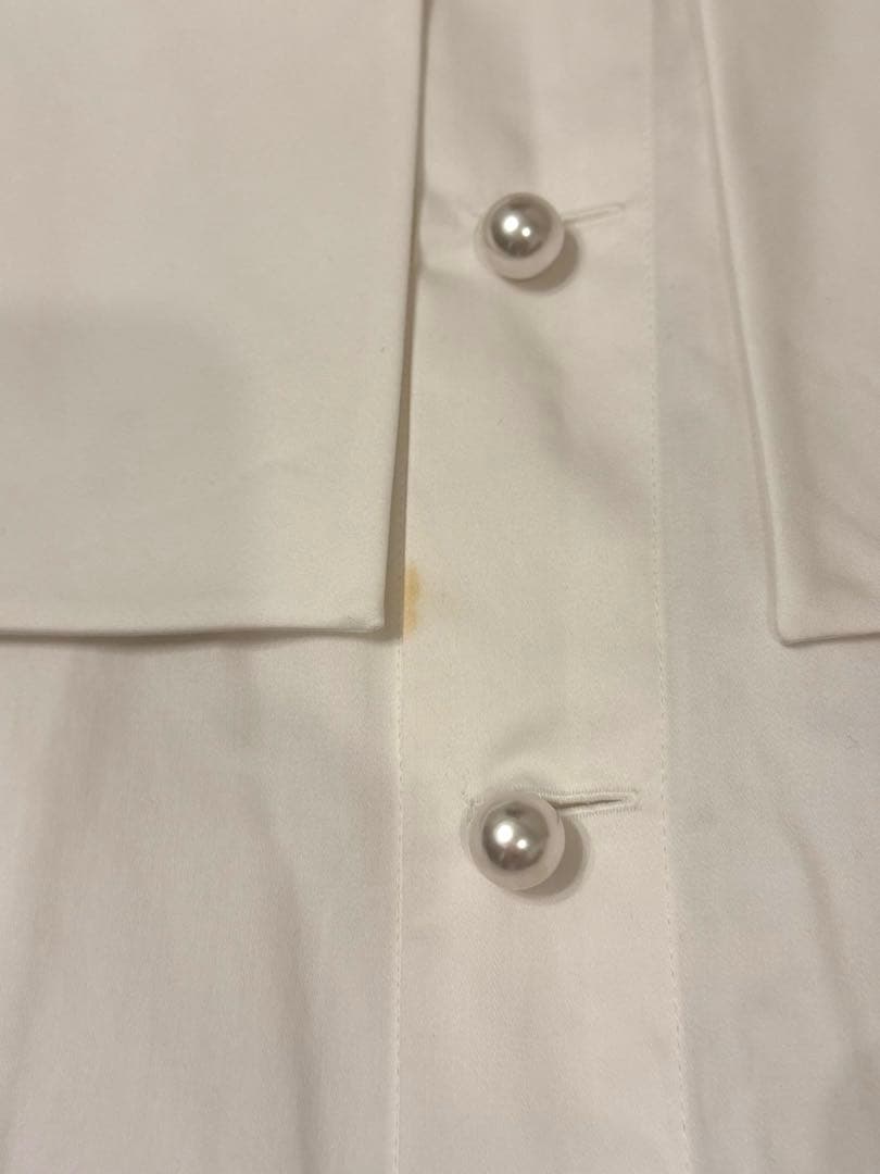 セツコサジテール　マルグリット　ホワイト