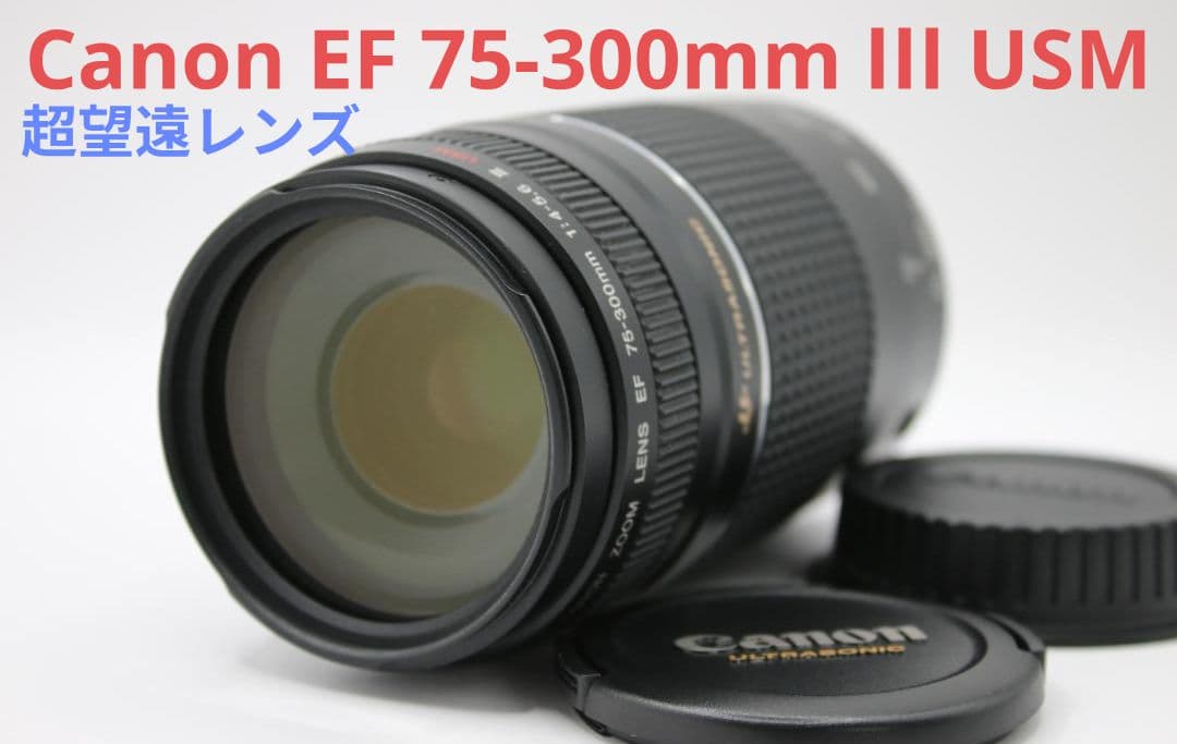 1月19日限定【超望遠レンズ】Canon EF 75-300mm Ⅲ USM