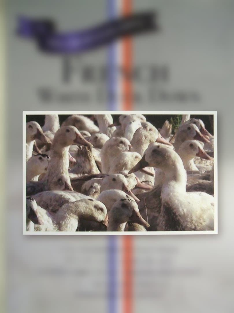 残１点買い得品‼️新品＊ロイヤル＊フランス９３％＊増量１，３キロ＊羽毛布団ＳＢ