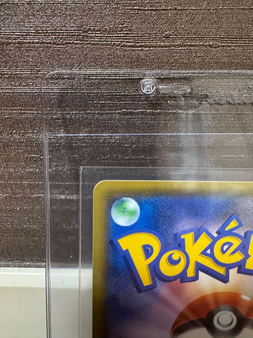 ブラッキー 25th 4枚セット