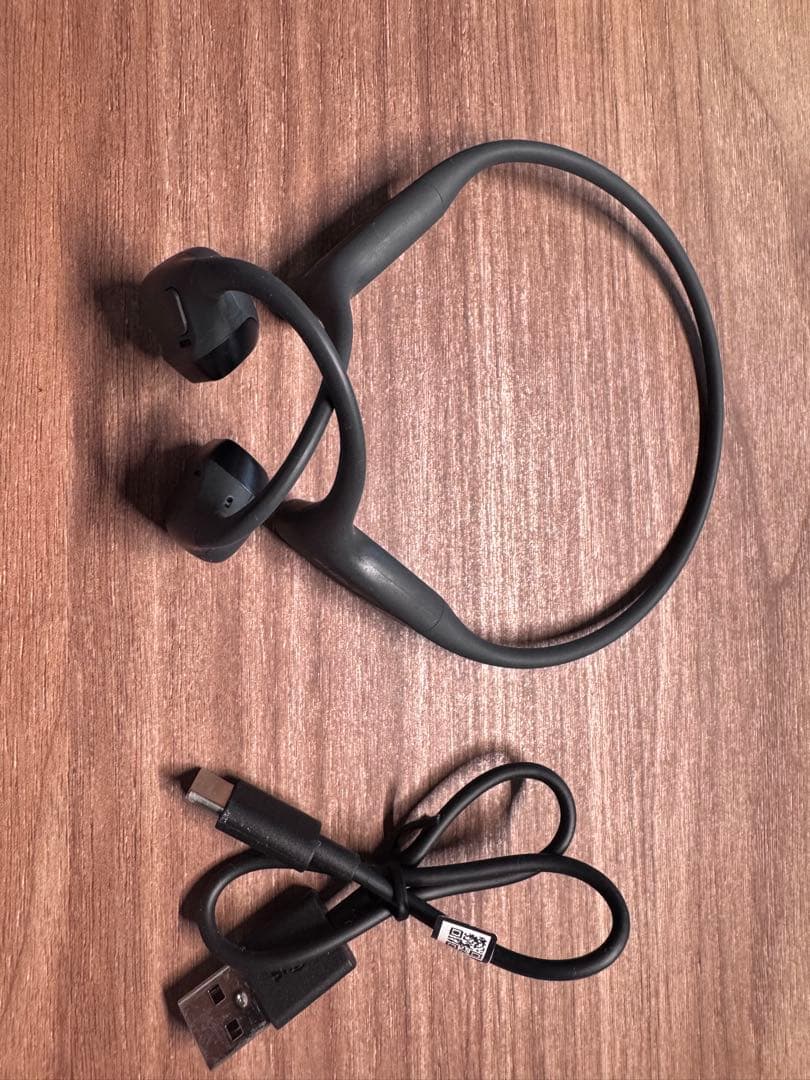 OpenRun Pro 2 標準サイズ