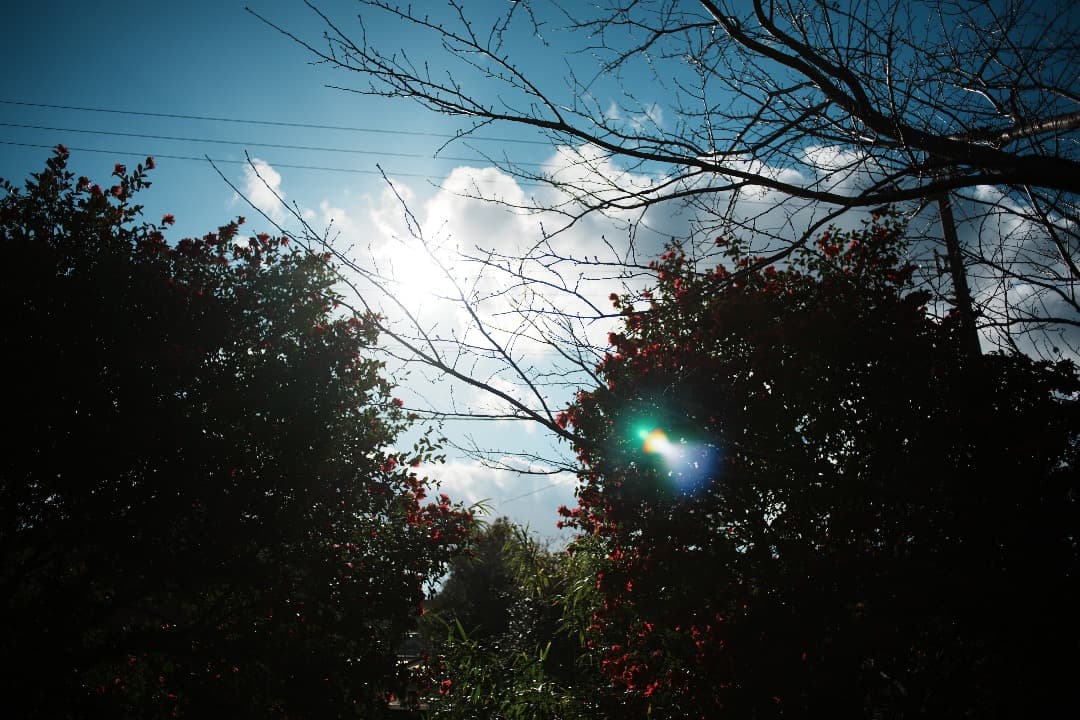 【整備＆テスト】オリンパス Zuiko auto-w 28mm F2.8 874
