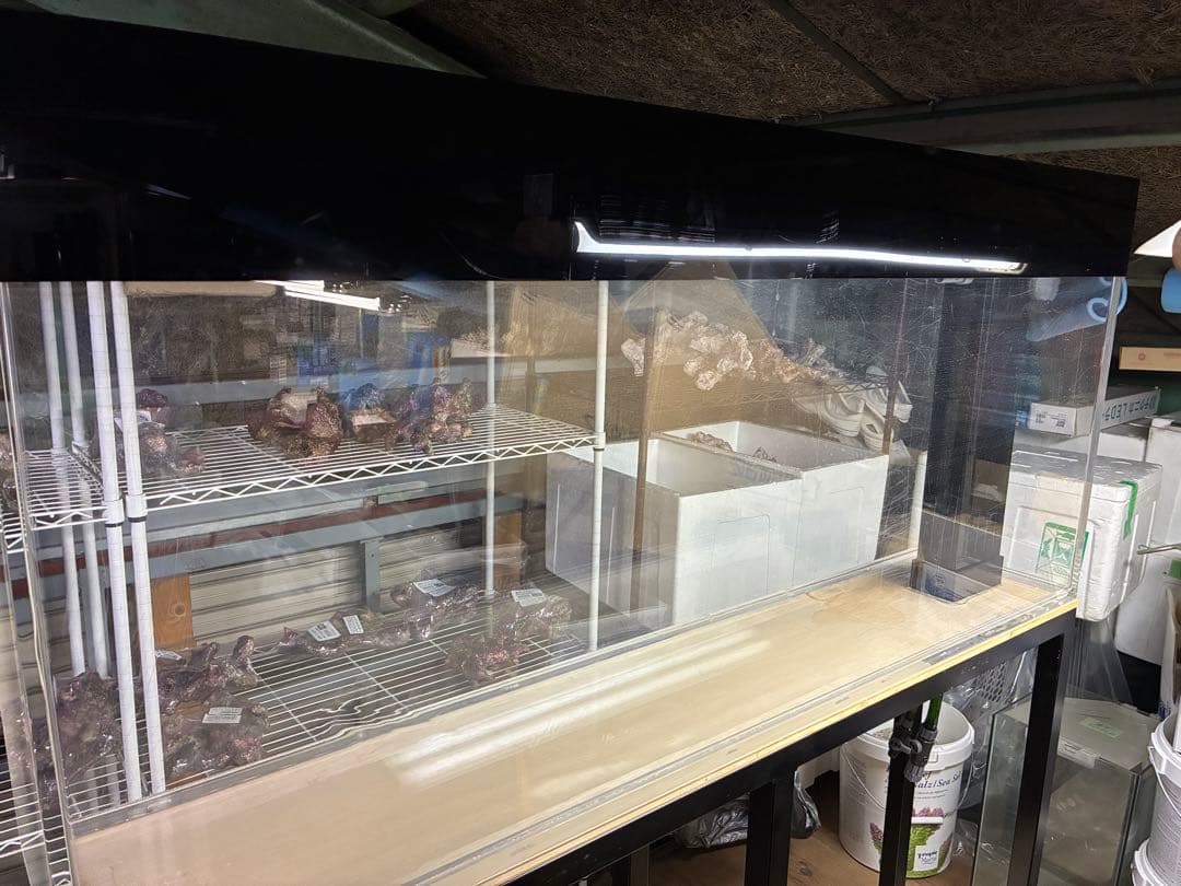 アクリル水槽 横1500×奥行30×高さ600 発送不可！