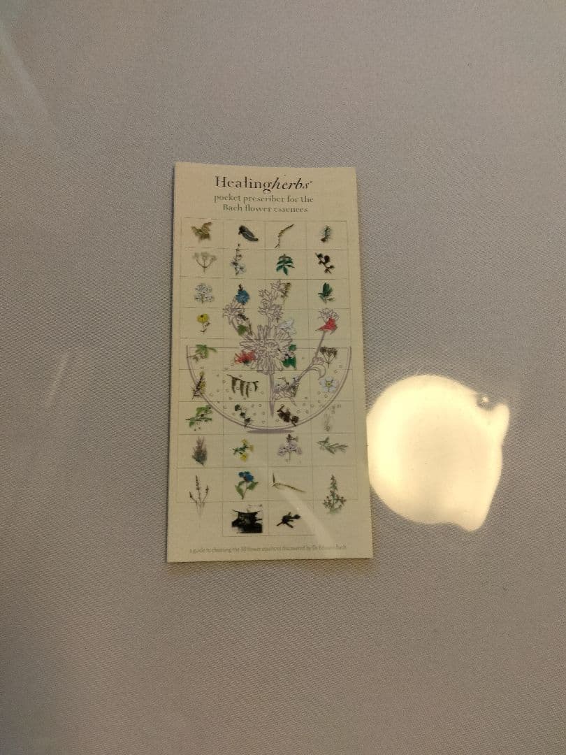 オマケ付08/2035■ヒーリングハーブス社フルセット■バッチフラワーレメディー