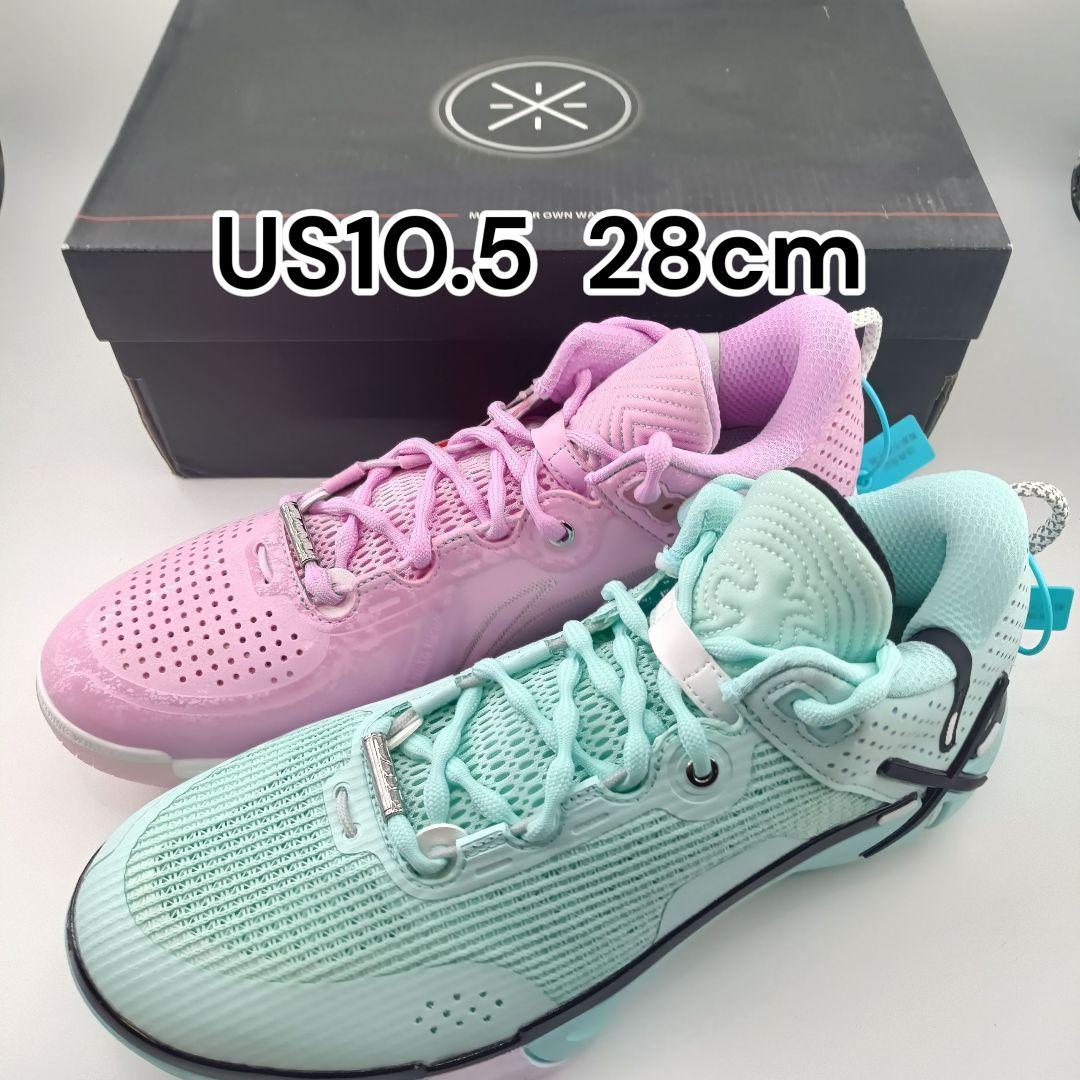 Wade Shadow 6 自由・マイアミナイトミスマッチUS10.5 28cm