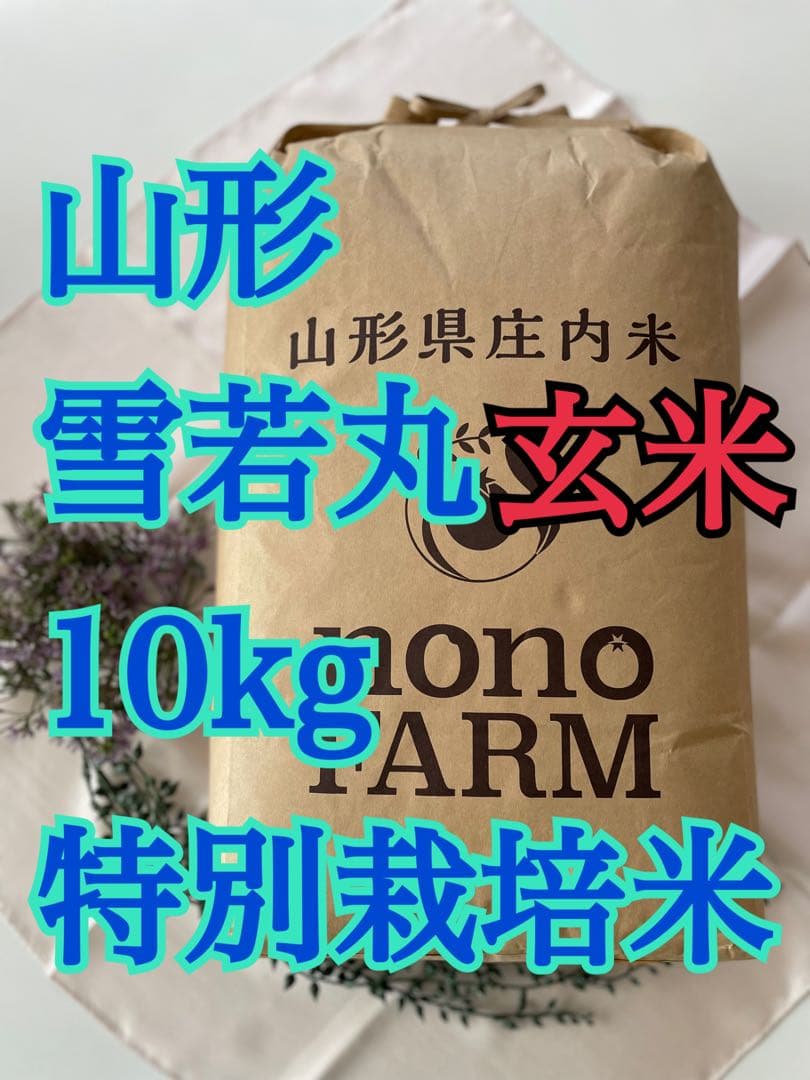 雪若丸　玄米10kg 山形　令和7年　特別栽培米