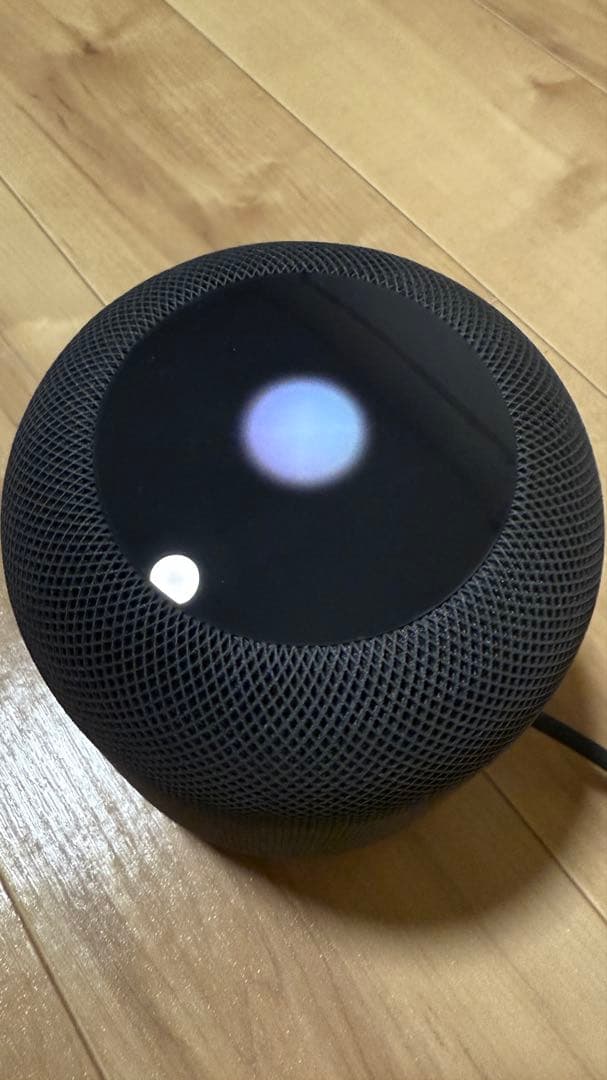 【美品】Apple Pod MQHW2J/A 【第一世代】