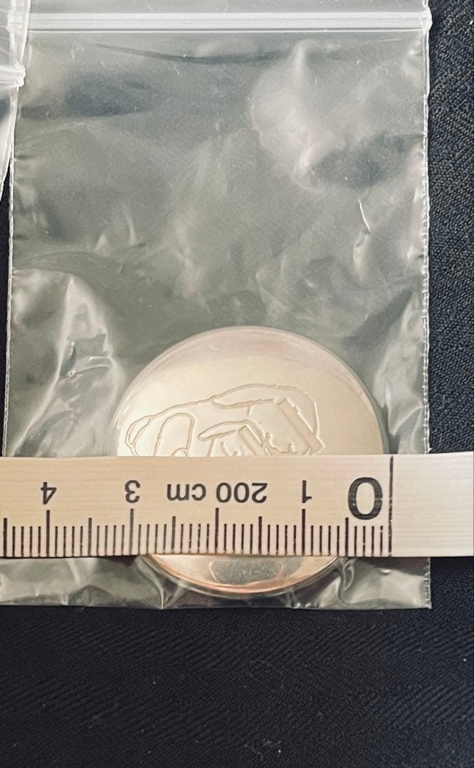 ひ*ー様 undercover bunny シルバー バッジ