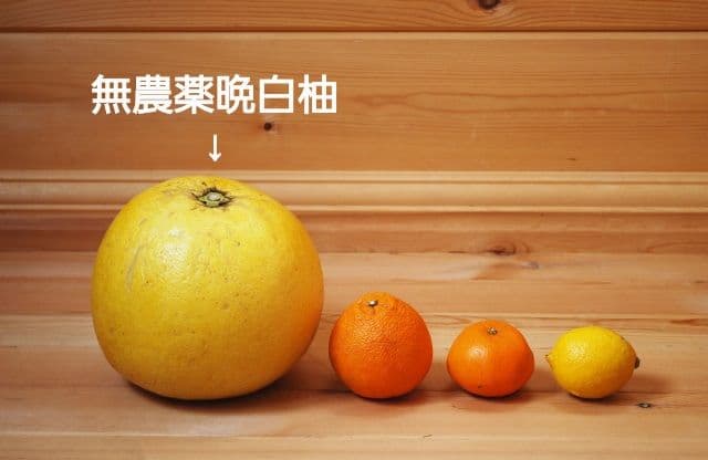 自家製オランジェット2袋　1180円