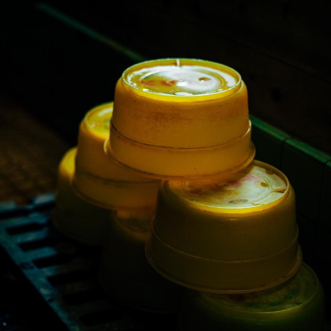 Phase One P30+ Hasselblad Vマウント デジタルバック