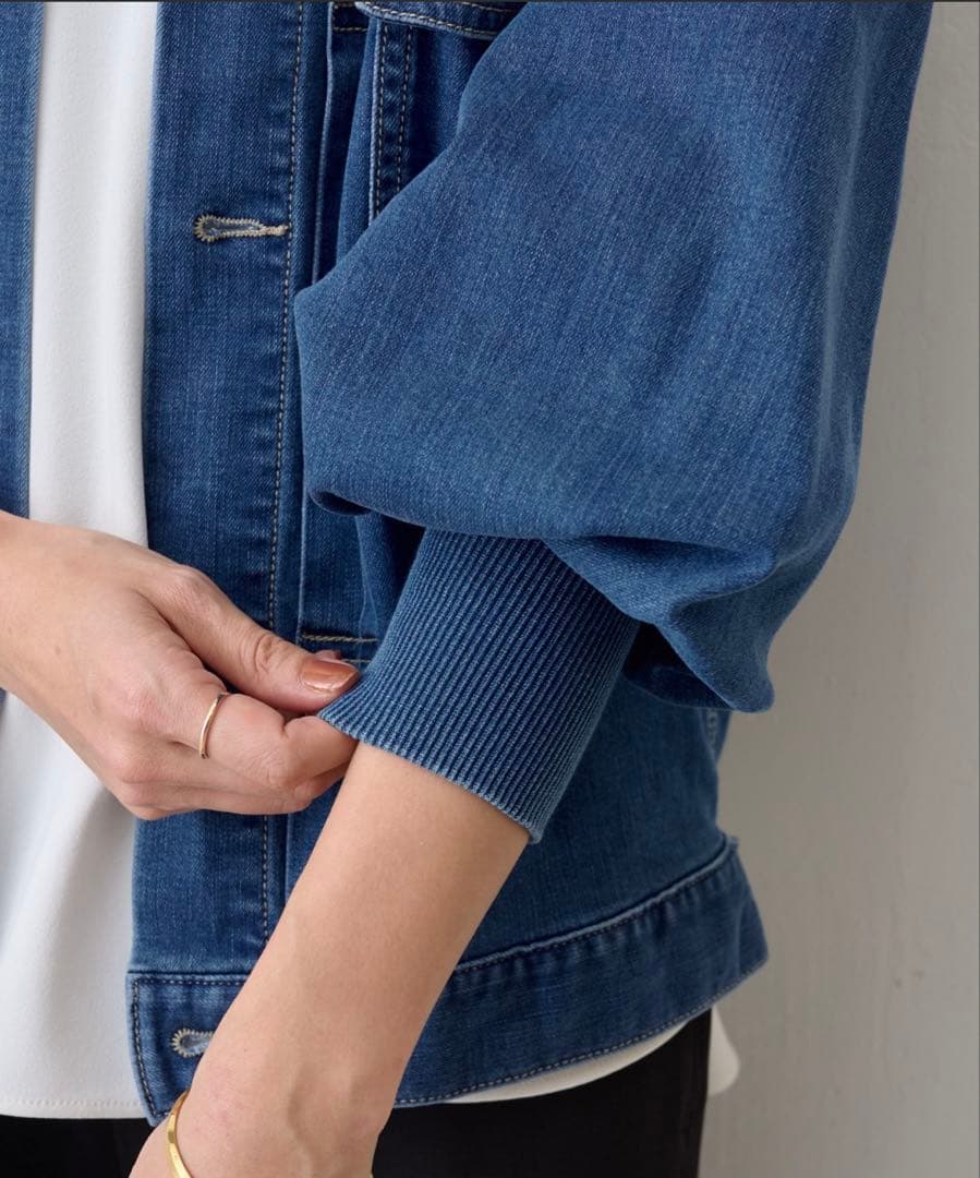 BEARDSLEY 袖パフGジャン