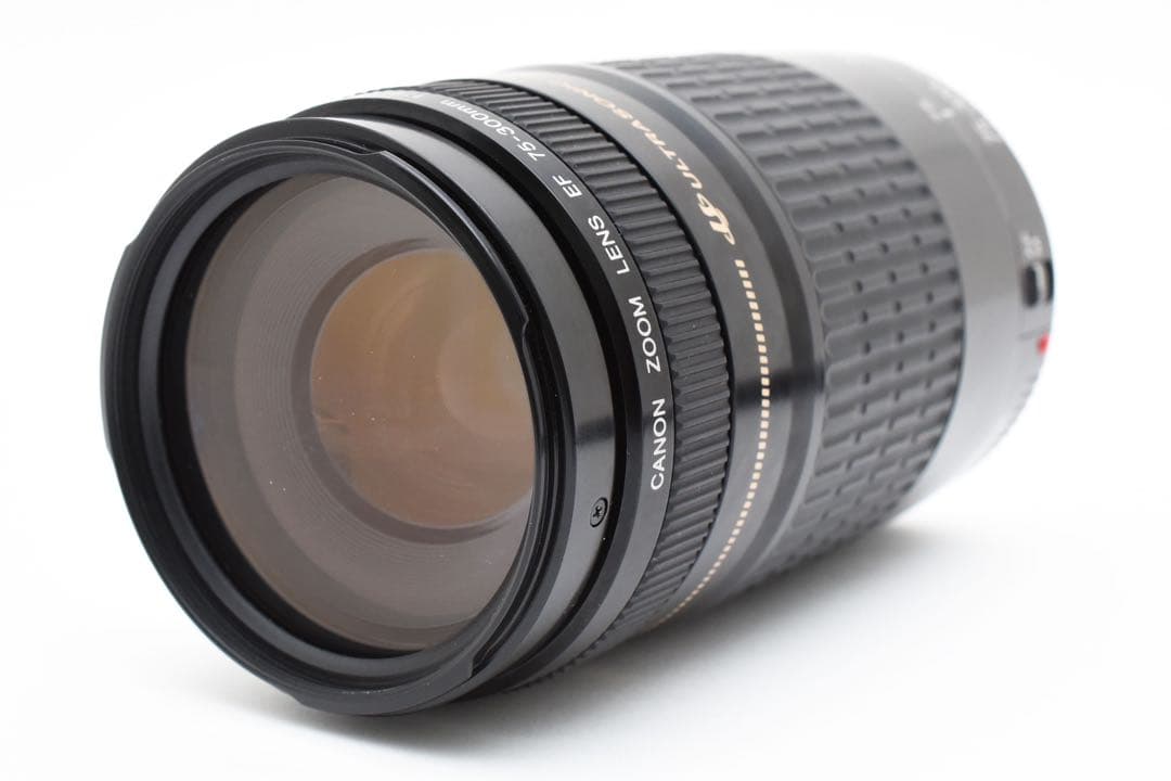 単焦点 EF50mm 1:1.8 II 望遠EF 75-300 mm（2セット）