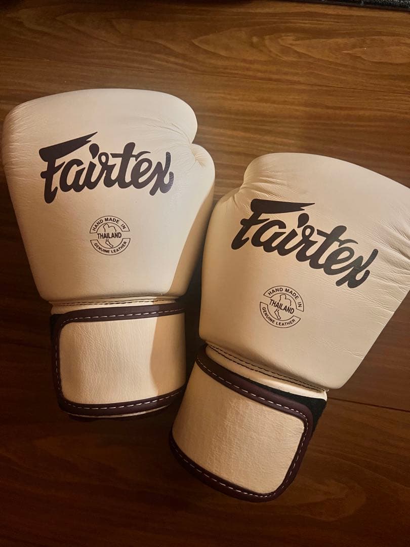 Fairtex フェアテックス グローブ 10oz